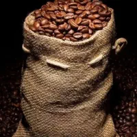 پخش قهوه‌ای Nexa