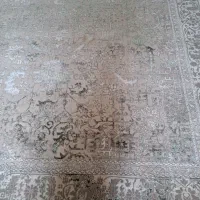 قالی 9 متری|فرش|سیرجان, |دیوار