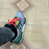 zx اورجینال|کیف، کفش، کمربند|نسیم‌شهر, |دیوار