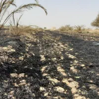 زمین کشاورزی تسطیح شده