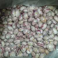 لوبیا چیتی|عمده‌فروشی|خمین, |دیوار