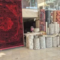 نیروی کار جوان جهت فرش فروشی