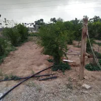 زمین|فروش زمین و ملک کلنگی|قلعه نو, |دیوار