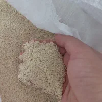 کنجد ارده گیری ،کنجد قنادی ،کنجد روغنگیری