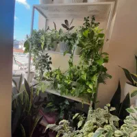 اپارتمان 95 متر یخسازی کوچه نهم|اجارهٔ آپارتمان|رشت, یخسازی|دیوار