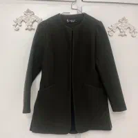 پالتو‌کتی سبز