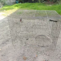 قفس پرنده|لوازم جانبی حیوانات|رشت, معلولین|دیوار