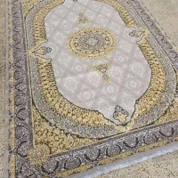 فرش طلاکوب فقط ۳/۵۰۰|فرش|زاهدان, |دیوار