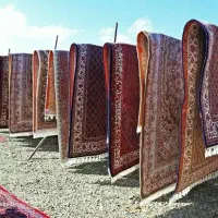 قالیشویی نعمت آبادعبدل آبادنازی آبادزمزم مرتضی گرد|خدمات نظافت|تهران, نعمتآباد|دیوار