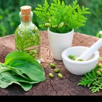 سلامت و زیبایی و کار و درآمد