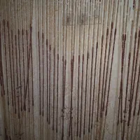 پرده مهره ایسلا