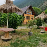 گررشگری تنبوران