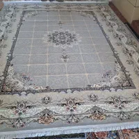 فرش|فرش|زنجان, |دیوار