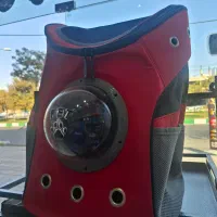 کوله پشتی حباب دار|لوازم جانبی حیوانات|قم, حکمت شمالی|دیوار