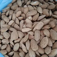 بادام نیمه کاغذی و سنگی