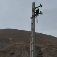 استخدام سیمبان