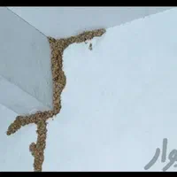 سمپاشی منزل،کارگاه،رستوران،ادارات|خدمات نظافت|دوگنبدان, |دیوار