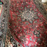 فرش ماشینی خوش قیمت|فرش|شیراز, سعدیه شمالی|دیوار