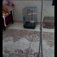 رخت اویز چرخ دار|بندرخت و رخت‌آویز|ورامین, ورامین|دیوار