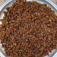 کشمش درگز|خوردنی و آشامیدنی|مشهد, توس فردوسی|دیوار