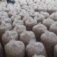 تلیف تازه|عمده‌فروشی|اردبیل, |دیوار