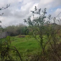 فروش ۵۰۰متر زمین مسکونی ساحلی زیر قیمت منطقه|فروش زمین و ملک کلنگی|خشکبیجار, |دیوار