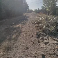 ۳۰۰ متری (صفا)درشاهجعفری