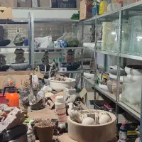 استخدام نیروجوان علاقه مندبه کارهنری و گل