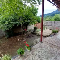 ویلا جنگلی ماهانه دربست کنار رودخانه جاده ماسوله|اجارهٔ خانه و ویلا|ماسوله, |دیوار