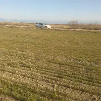 زمین کشاورزی ده هکتار مالبازار گنبد|اجارهٔ دفتر صنعتی، کشاورزی، تجاری|گنبد کاووس, |دیوار