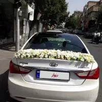 اجاره ماشین عروس باگل اپتیما وسوناتا