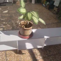 زیر گلدانی تر تمیز ومحکم جنس ام دی اف جا دار