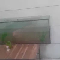 شیشه اکفاریوم