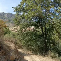 زمین مسکونی اول بیار