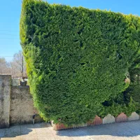 حرص نگداری و سمپاشی