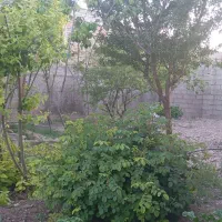 خانه گلزار بردسیر 14 قصب سوییت 80 متری|فروش خانه و ویلا|گلزار, |دیوار