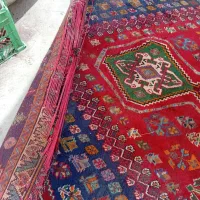 قالی پشمی ارزلن|فرش|شیراز, کوشک میدان|دیوار