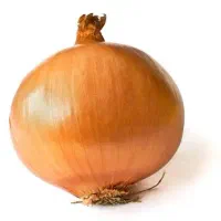 پیاز محلی درجه یک