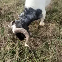 زیر قیمت بازار