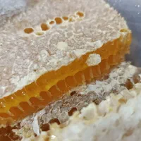 عسل منطقه کوهستانی آذربایجان شرقی