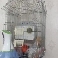 دو عدد قفس بزرگ|لوازم جانبی حیوانات|خوی, |دیوار