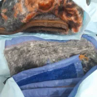 فروش انواع پتو درخشان فرشینه|رختخواب، بالش، پتو|هریس, |دیوار