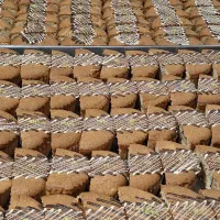 وردست ترکار و  خشک کار قنادی