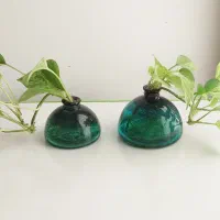 گلدان شیشه ای رنگی + پتوس مرمری