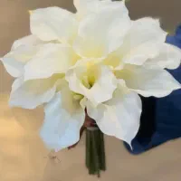 دسته گل عروس|گل و گیاه طبیعی|تهران, پرستار|دیوار
