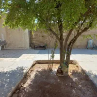 فروش خانه نمره هشت|فروش خانه و ویلا|مسجد سلیمان, |دیوار