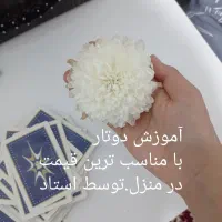 گل زیبا تصویر نگاه کنید|گل و گیاه طبیعی|اسفراین, |دیوار