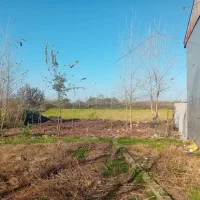 فروش فوری زمین مسکونی نسق  احمدگوراب رشت)