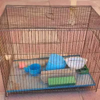 قفس پرنده با وسایلاش
