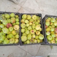 انبار